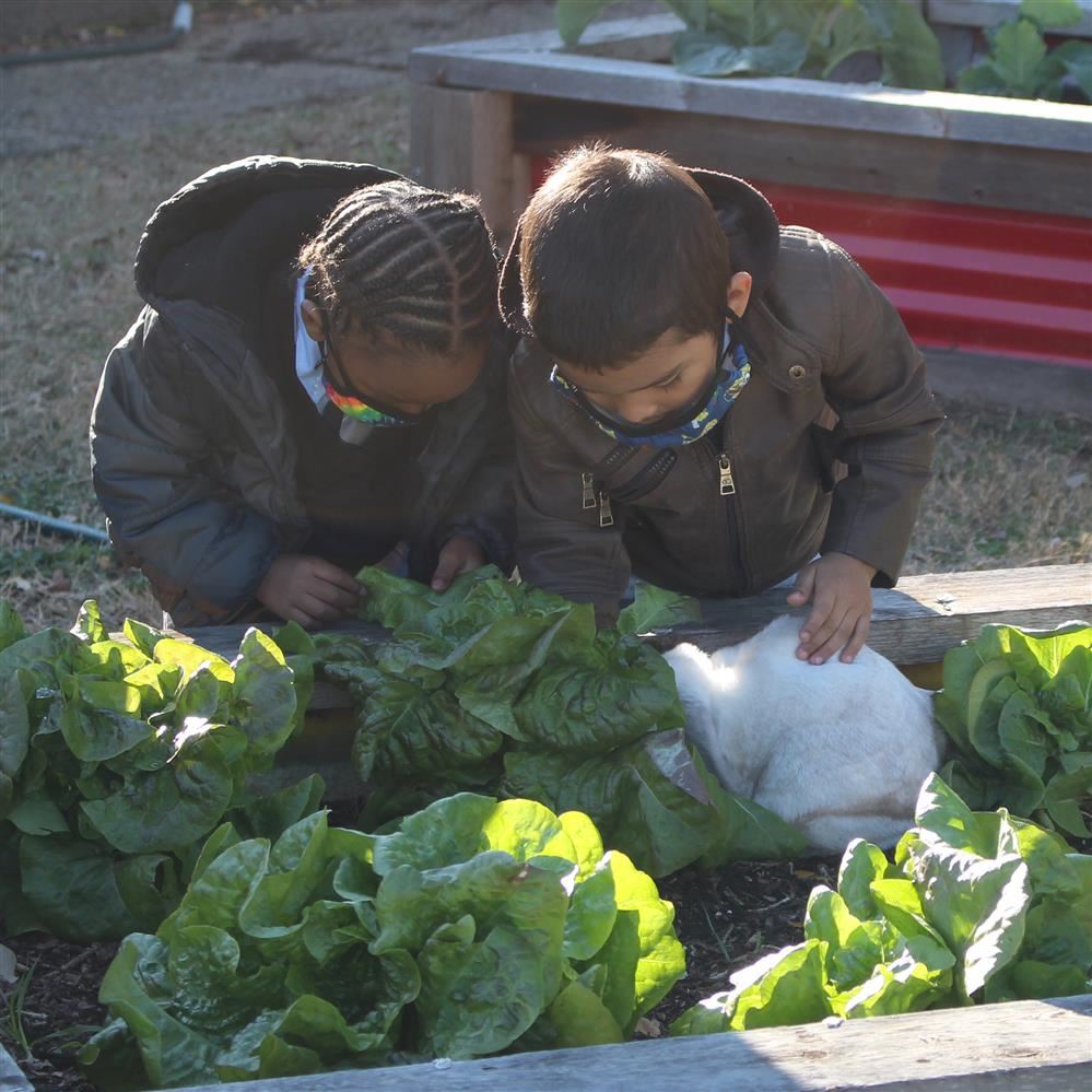  Two students petting and feeding a rabit